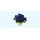 Fleurs