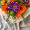 Papiya Arrangement
