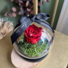 Eternal Rose Bell