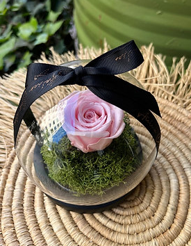 Cloche Rose Eternelle