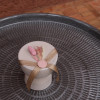 Tiara Candle