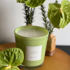 XL candle