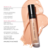 LAWLESS CONCEALER SHELL