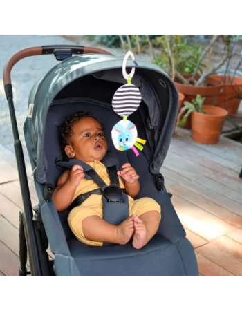 Tiny Love Coffret Cadeau de Naissance - Assortiment Jouet d'éveil 0m+