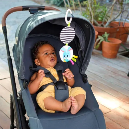 Tiny Love Coffret Cadeau de Naissance - Assortiment Jouet d'éveil 0m+