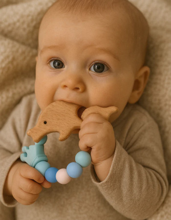 Anneau de dentition - Dauphin