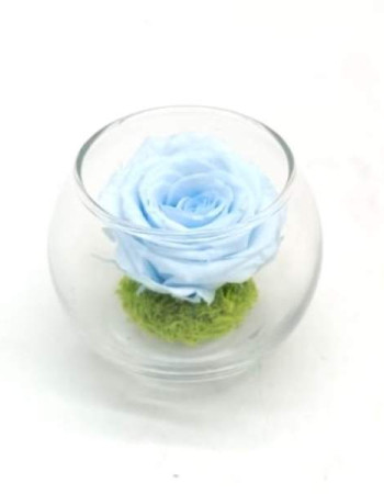 Mini Reflet Baby Blue