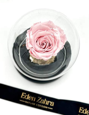 Cloche Eternal Rose