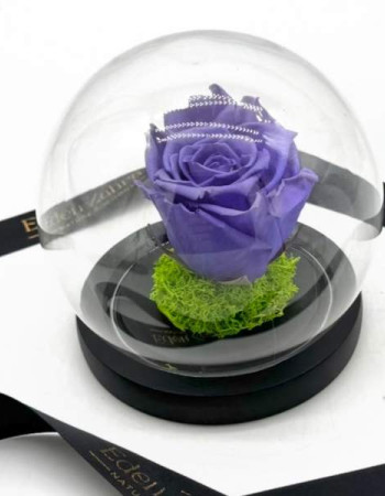 Lavender Globe