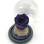 Cloche Purple Eternal Rose
