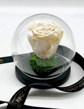 Cloche Eternal Pearl