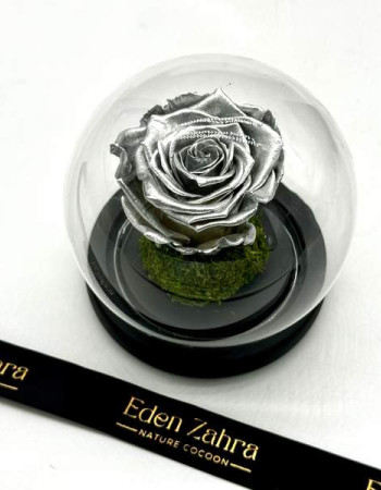 Eternal Silver Rose