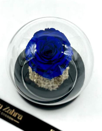 Royal Blue Eternel Rose