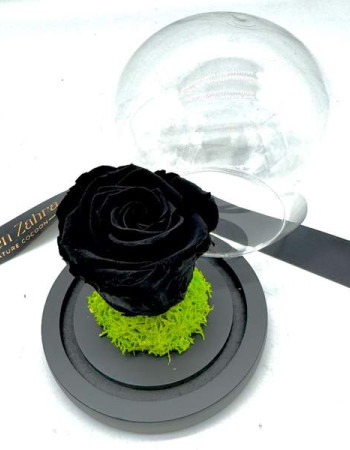 Royal Black Eternel Rose