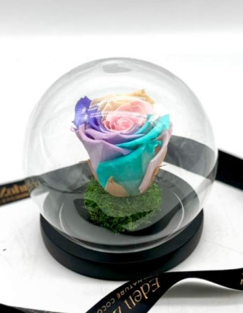 Cloche Eternal SunRise