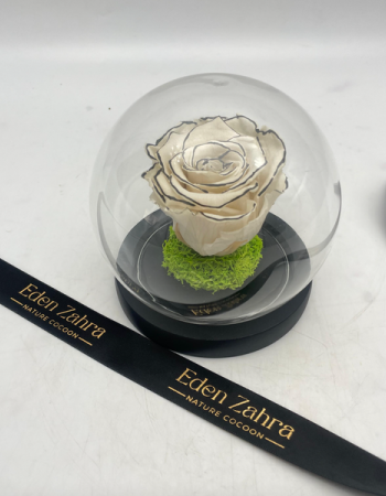 Cloche Eternal Black Lines