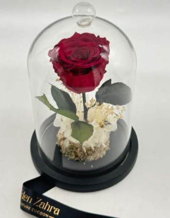 Cloche Eternal Rose Rosé