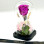 Cloche Eternal Fuschia