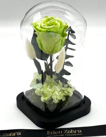 Cloche Eternal Rose Mint
