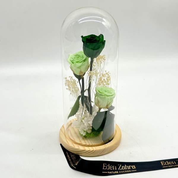 Cloche Green Shades