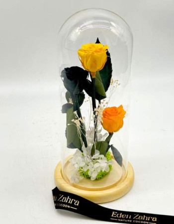 Cloche Orange Shades