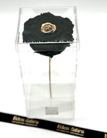 Pure King Black Gold