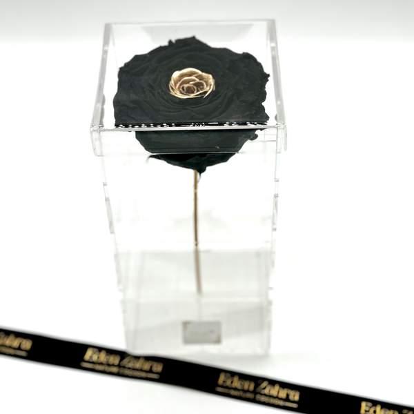 Pure King Black Gold