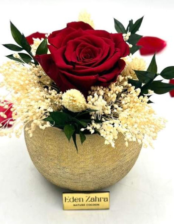 Trésor Éternel Rouge