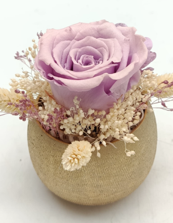 Trésor Éternel lavande