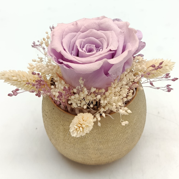 Trésor Éternel lavande