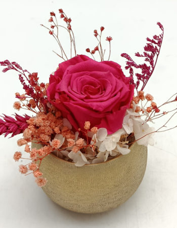 Trésor Eternel Pink