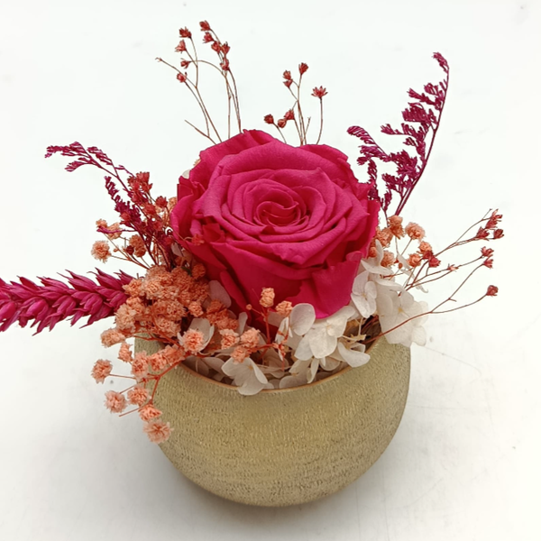 Trésor Eternel Pink