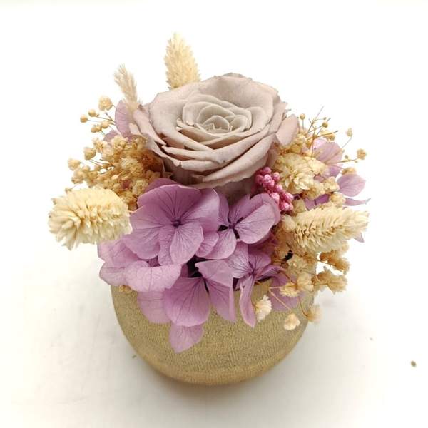 Trésor Eternel Baby