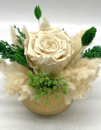 Trésor Éternel Garden