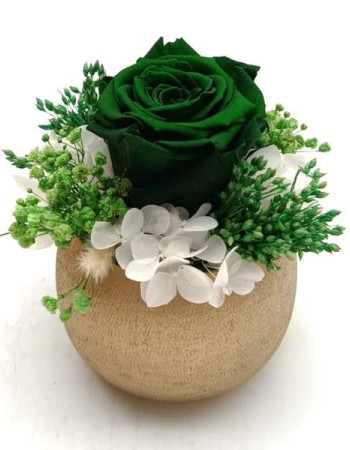 Reflet Vert Émeraude