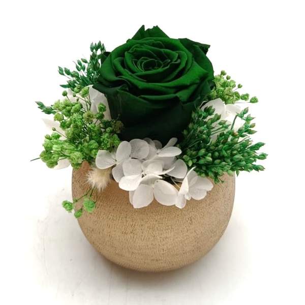 Reflet Vert Émeraude