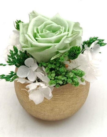 Trésor Éternel Vert Eau