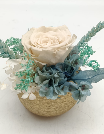 Trésor Éternel Sky