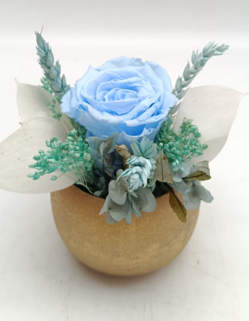 Trésor Eternel Bleu Ciel