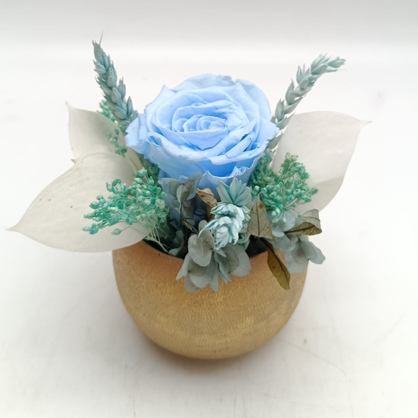 Trésor Eternel Bleu Ciel