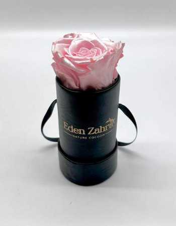 Étoile Noire Pink Silk