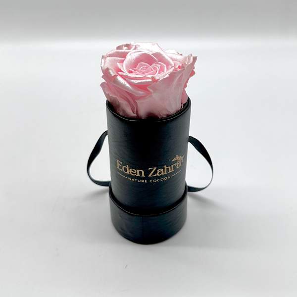 Étoile Noire Pink Silk