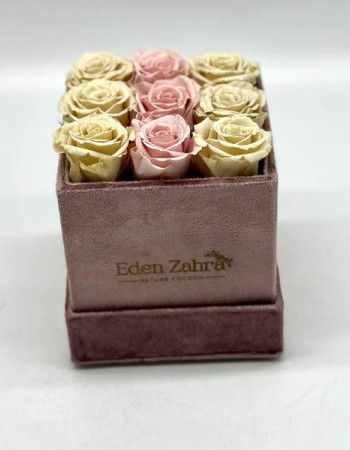 Carré D’Etoile Rose