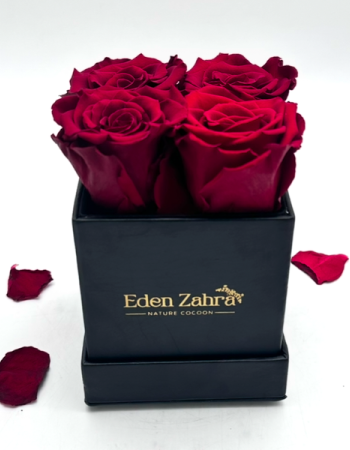 Carré D’Etoile Rouge