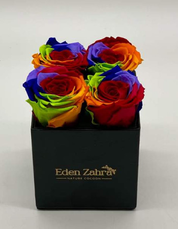 Carré D’Etoile Rainbow