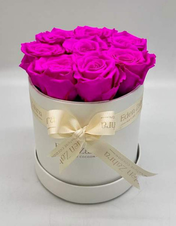 Rond D’Etoile Fuschia