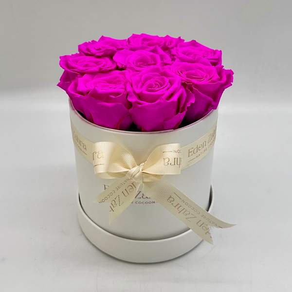 Rond D’Etoile Fuschia