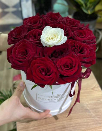 BoX amour Central Blanc