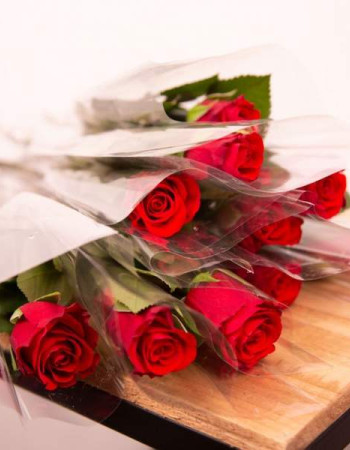 UNE ROSE UN COUP DE FOUDRE