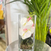 Orchidé vase